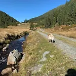 Heisenbauer *