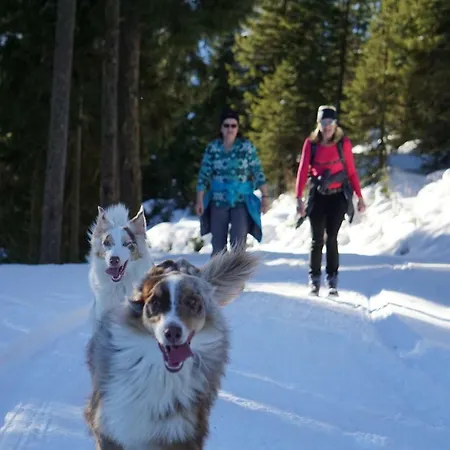 Дом отдыха Heisenbauer Нойкирхен-ам-Гросфенедигер