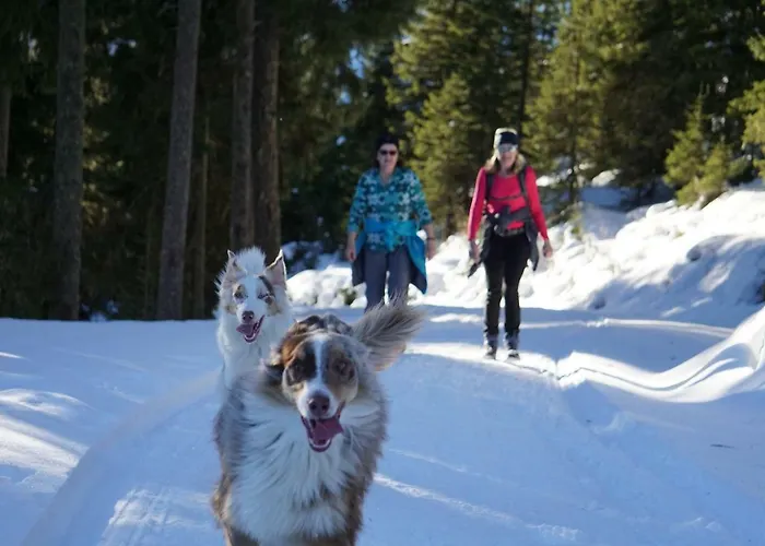 Prázdninový dům Heisenbauer Neukirchen am Großvenediger